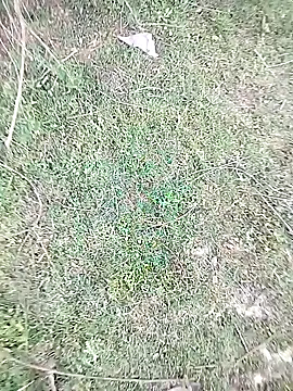 Snapshot of 88karan88 chatting on 23, 2, 2025 88karan88 online show from 23, 2, 2025