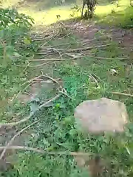 Snapshot of 88karan88 chatting on 24, 2, 2025 88karan88 online show from 24, 2, 2025