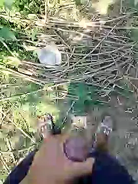 Snapshot of 88karan88 chatting on 25, 2, 2025 88karan88 online show from 25, 2, 2025