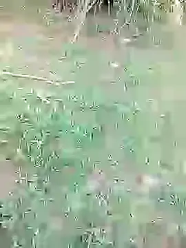 Snapshot of 88karan88 chatting on 26, 2, 2025 88karan88 online show from 26, 2, 2025