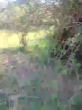 Snapshot of 88karan88 chatting on 27, 2, 2025 88karan88 online show from 27, 2, 2025