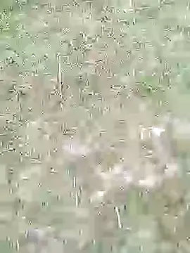 Snapshot of 88karan88 chatting on 27, 2, 2025 88karan88 online show from 27, 2, 2025