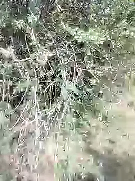 Snapshot of 88karan88 chatting on 28, 2, 2025 88karan88 online show from 28, 2, 2025