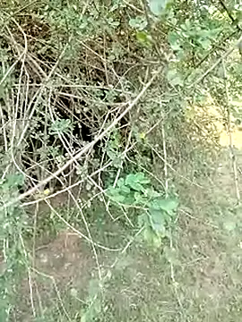 Snapshot of 88karan88 chatting on 1, 3, 2025 88karan88 online show from 1, 3, 2025