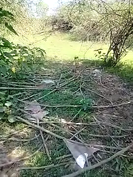 Snapshot of 88karan88 chatting on 3, 3, 2025 88karan88 online show from 3, 3, 2025