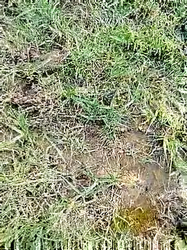 Snapshot of 88karan88 chatting on 3, 3, 2025 88karan88 online show from 3, 3, 2025