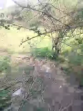 Snapshot of 88karan88 chatting on 4, 3, 2025 88karan88 online show from 4, 3, 2025