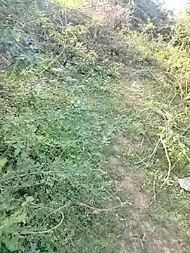 Snapshot of 88karan88 chatting on 4, 3, 2025 88karan88 online show from 4, 3, 2025