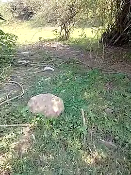 Snapshot of 88karan88 chatting on 5, 3, 2025 88karan88 online show from 5, 3, 2025