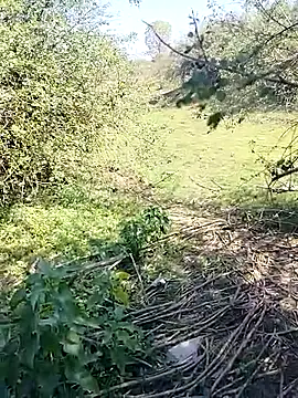 Snapshot of 88karan88 chatting on 7, 3, 2025 88karan88 online show from 7, 3, 2025