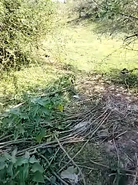 Snapshot of 88karan88 chatting on 11, 3, 2025 88karan88 online show from 11, 3, 2025