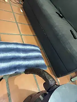 MrPatrick777 online show from 2, 4, 2026