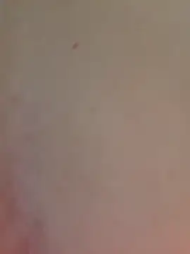 AmandaS2k online show from 3, 5, 2026