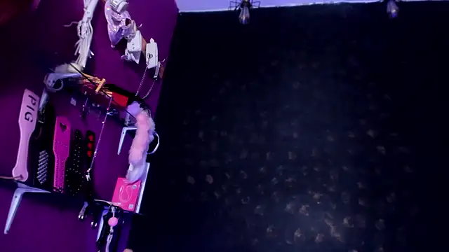 Snapshot of Alexa_Slave chatting on 14, 3, 2026 Alexa Slave online show from 14, 3, 2026