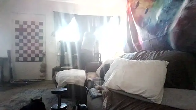 Antoniothedon online show from 15, 12, 2024