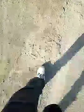 murokkk31 online show from 31, 12, 2024