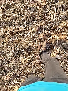 murokkk31 online show from 30, 9, 2025