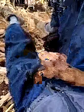 murokkk31 online show from 4, 12, 2025