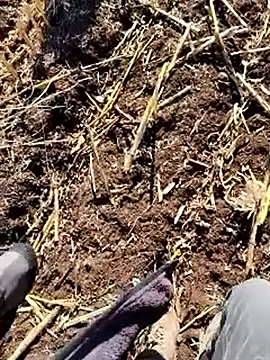 murokkk31 online show from 18, 12, 2025