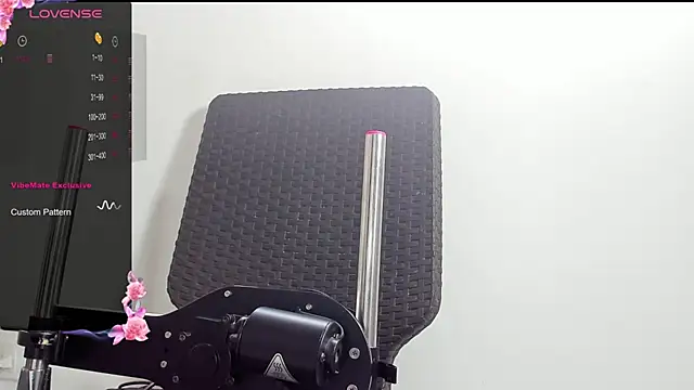 Snapshot of dani_ary chatting on 2, 12, 2024 dani ary online show from 2, 12, 2024