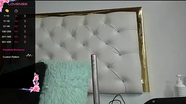 Snapshot of dani_ary chatting on 29, 12, 2024 dani ary online show from 29, 12, 2024