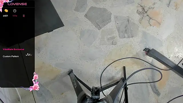 Snapshot of dani_ary chatting on 22, 2, 2025 dani ary online show from 22, 2, 2025