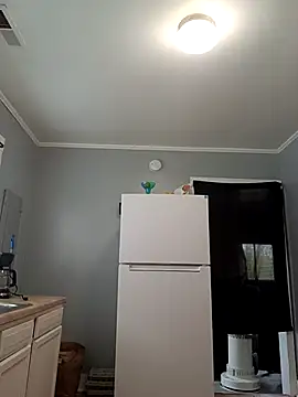 T92bbc online show from 23, 3, 2026