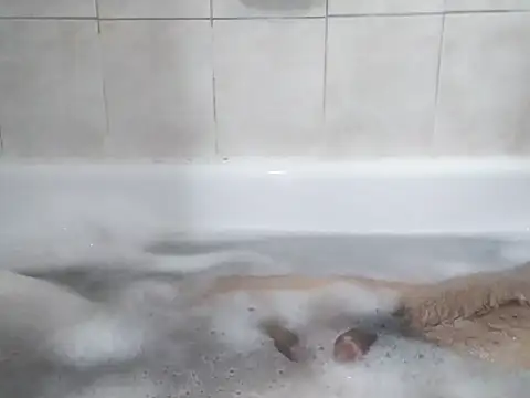 69LanceRomance69 online show from 27, 2, 2026