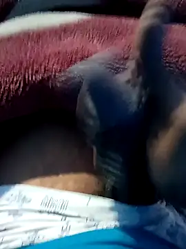 dombbcking online show from 31, 12, 2024