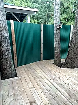 twist699 online show from 11, 11, 2025