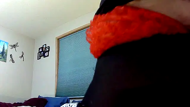 Snapshot of lilyhornyhousewife chatting on 23, 12, 2024 lilyhornyhousewife online show from 23, 12, 2024