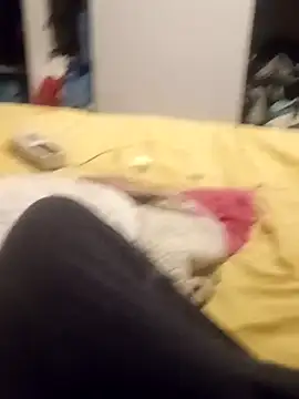 taradobbsafadok online show from 25, 10, 2025