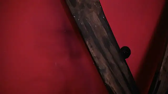 EVADANGERBDSM online show from 14, 2, 2025