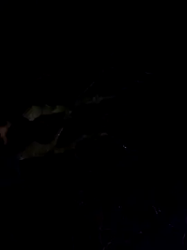 Snapshot of Wildherb244 chatting on 4, 12, 2024 Wildherb244 online show from 4, 12, 2024