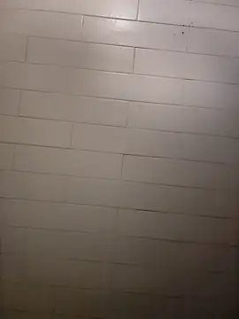 Snapshot of Wildherb244 chatting on 21, 12, 2024 Wildherb244 online show from 21, 12, 2024