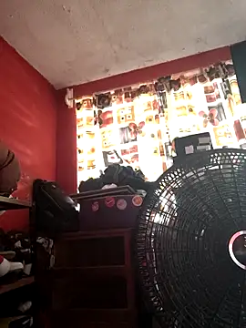 VL25DN26 online show from 7, 11, 2025