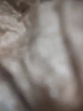 Snapshot of VL25DN26 chatting on 9, 3, 2026 VL25DN26 online show from 9, 3, 2026