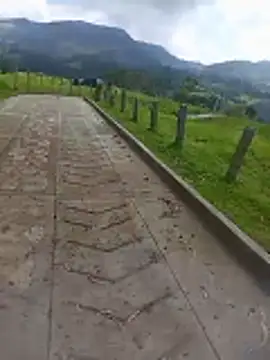 Cuervo maniaco online show from 17, 12, 2025