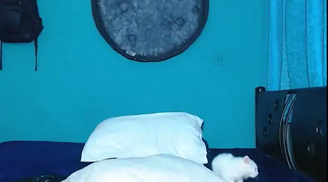 Snapshot of Dirtymatthew chatting on 10, 2, 2025 Dirtymatthew online show from 10, 2, 2025