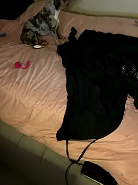 UKSYDNEYFOX online show from 14, 10, 2025