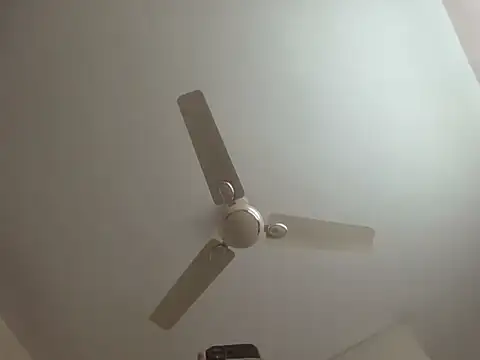 arjun 077 online show from 8, 11, 2025