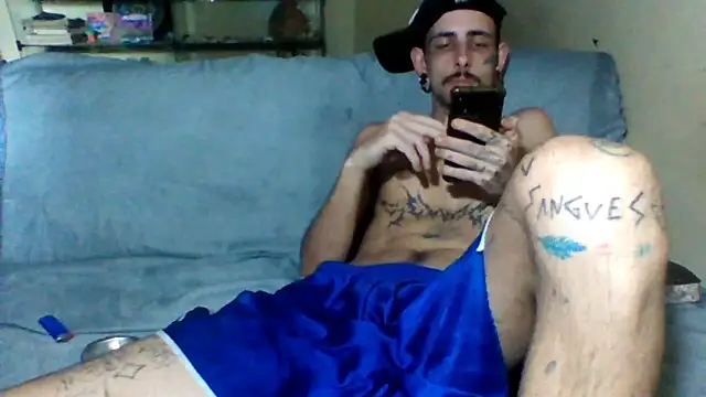 sellvageria online show from 5, 11, 2025