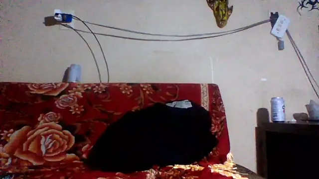 Snapshot of sellvageria chatting on 26, 2, 2026 sellvageria online show from 26, 2, 2026