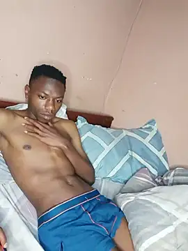 fireboyafrica online show from 12, 12, 2024