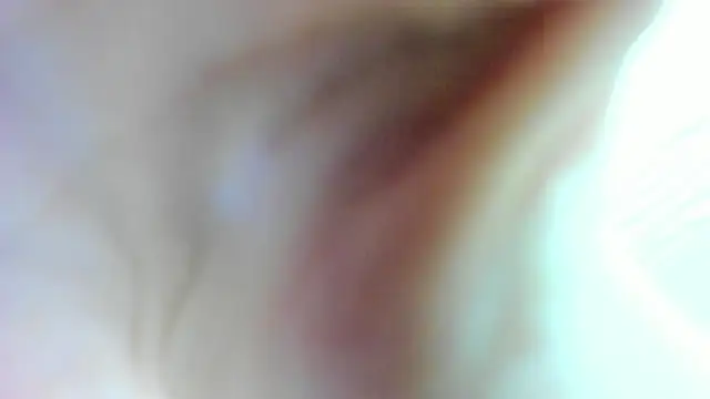 AishaRouhi online show from 17, 1, 2025