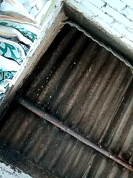 Lukas strong online show from 7, 10, 2025