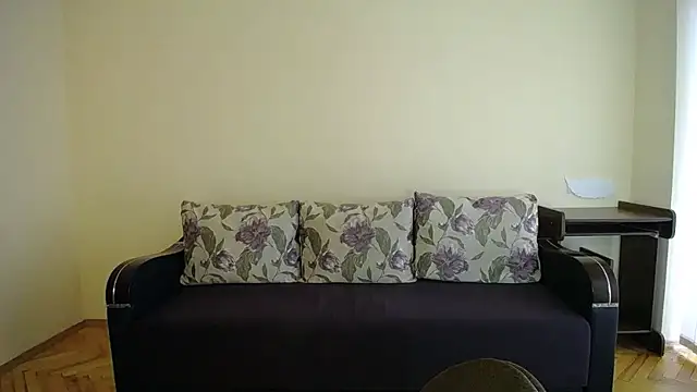 Snapshot of Pretty_shy chatting on 8, 12, 2024 Pretty shy online show from 8, 12, 2024