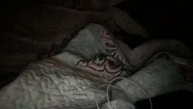 loveofbea online show from 23, 10, 2025