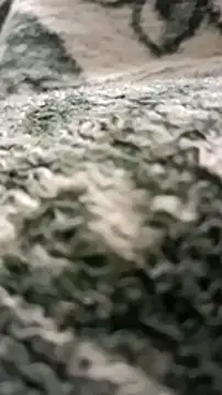 sokrates13 online show from 11, 1, 2025