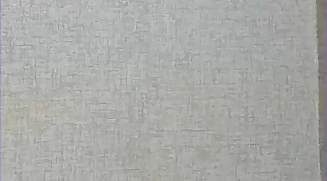 Ricardogo19 online show from 27, 12, 2024